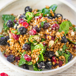 Spinach Blueberry Wheat Berry Salad