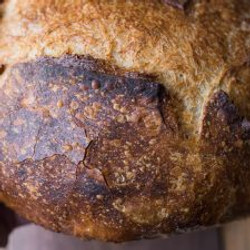Beginner's Sourdough Bread Recipe