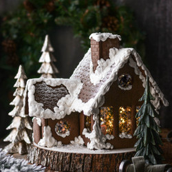 High Altitude Gingerbread House Recipe
