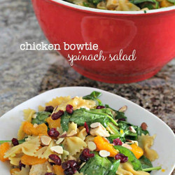 Chicken Bow Tie Spinach Salad Recipe
