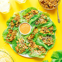 Vegan Lettuce Wraps (pf Chang’s Copycat Recipe!)