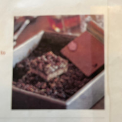 Pecan-chocolate Squares