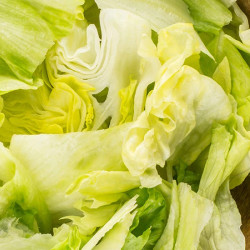 Garlic Girl Iceberg Salad