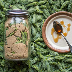 Classic Spruce Tip Syrup