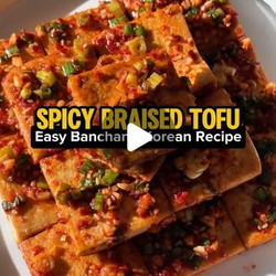 Spicy Braised Tofu (dubujorim)