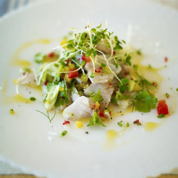 Peruvian Ceviche