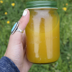 Gut Renewal Elixir