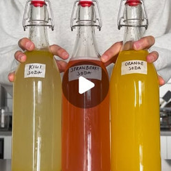 Wild Fermented Sodas