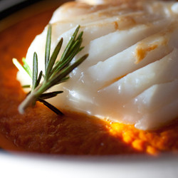 Dos De Cabillaud En Coulis De Tomates Et Romarin