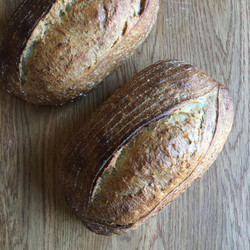 Sourdough Loaf For Beginners