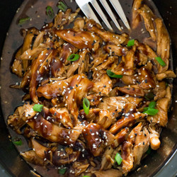 Slow Cooker Honey Garlic Chicken