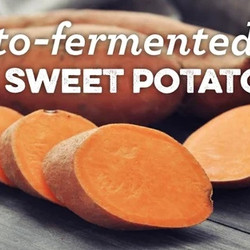 Baby Lacto-fermented Sweet Potatoes or Taro Root