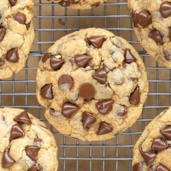 Coconut Flour Cookies