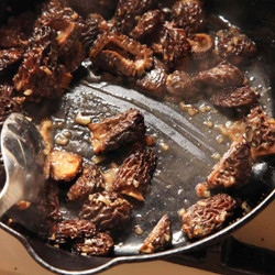 Sautéed Morel Mushrooms