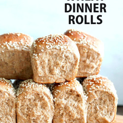Soft Whole Wheat Dinner Rolls With Tangzhong Starter