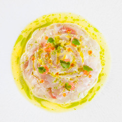Sea Bream Ceviche With Citrus Vinaigrette And Lime Zest