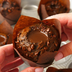 Double Chocolate Muffin Recipe