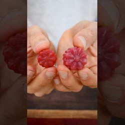 Super Healthy Gummies