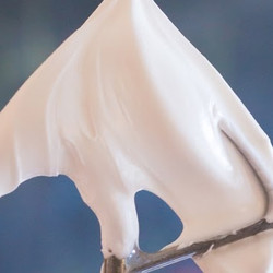 Royal Icing
