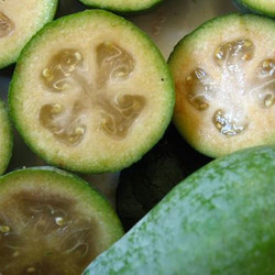 Indian Spiced Feijoa Chutney