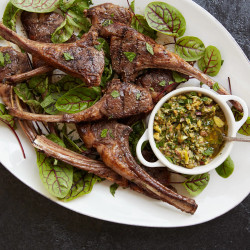 Lamb Chops With Pistachio Salsa Verde
