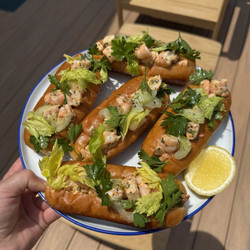 Cold Shrimp Rolls With Celery Salad