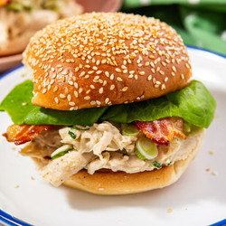 Instant Pot Cheddar Ranch Chicken