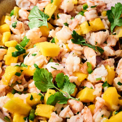 Shrimp And Mango Salsa