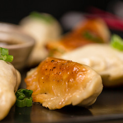 Venison Dumplings
