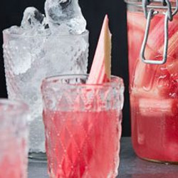 Rhubarb Gin