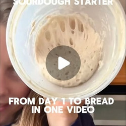 14 Days Of Sourdough Starter