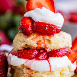 Strawberry Shortcake Recipe