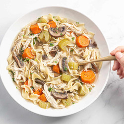 Instant Pot Chicken Noodle Soup