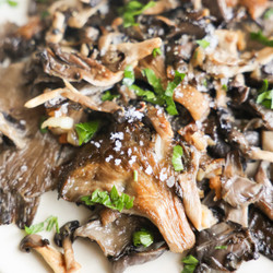 The Best Pan-fried Oyster Mushroom Recipe