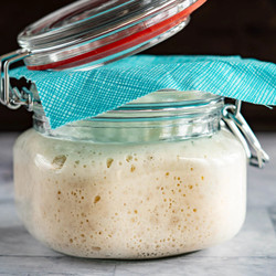 Quick Sourdough Starter With Yeast
