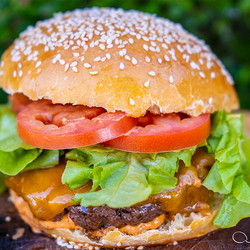Sourdough Hamburger Buns