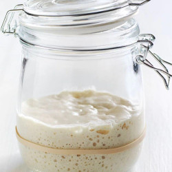 Sourdough Starter Recipe