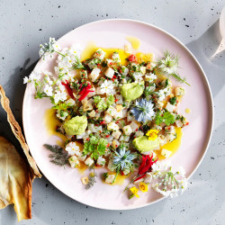 Jacqui Challinor’s Kingfish Ceviche With Avocado And Finger Lime