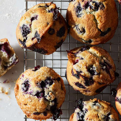 Blueberry Muffins