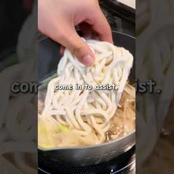 Easy Japanese Udon For Tired Days (negi Shio Udon)