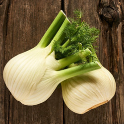 Braised Fennel