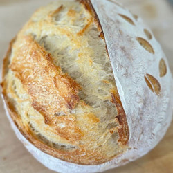 Bread: Sourdough Foolproof White Bread