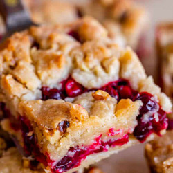 Cranberry Shortbread Bars