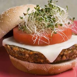 Best-of Homemade Gardenburgers