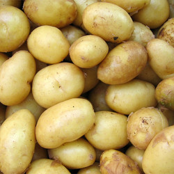 Geroosterde Nieuwe Aardappelsalade Met Feta En Geroosterde Radijs