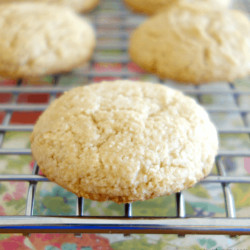 3 Ingredient Vegan Almond Flour Cookies (gf, Oil-free, Keto Option)