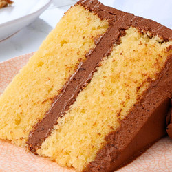 Moist Yellow Cake Recipe