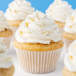 Vanilla Cupcakes