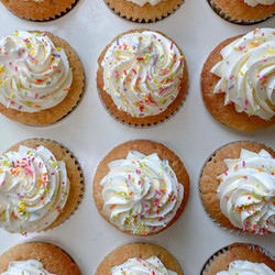 Vanilla Cupcakes