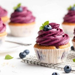 Saftige Blaubeer-cupcakes Mit Frischkäse-frosting
